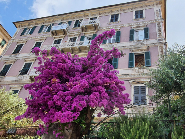 Palazzo degli Armatori appartamento storico