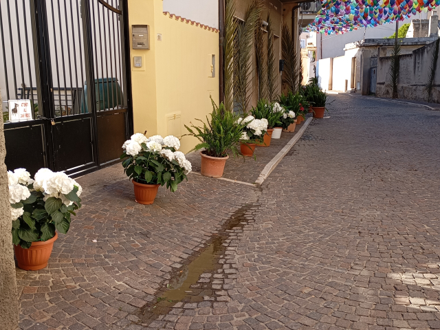 Raggio di Sole Apartment