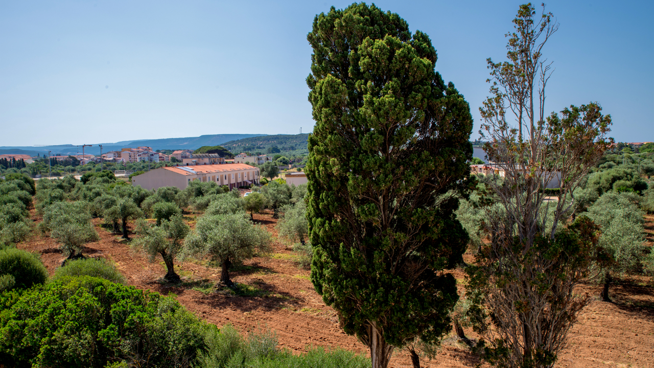 Appartamento con Vista Montagna