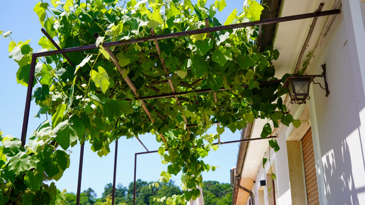 Appartamento con Vista Giardino