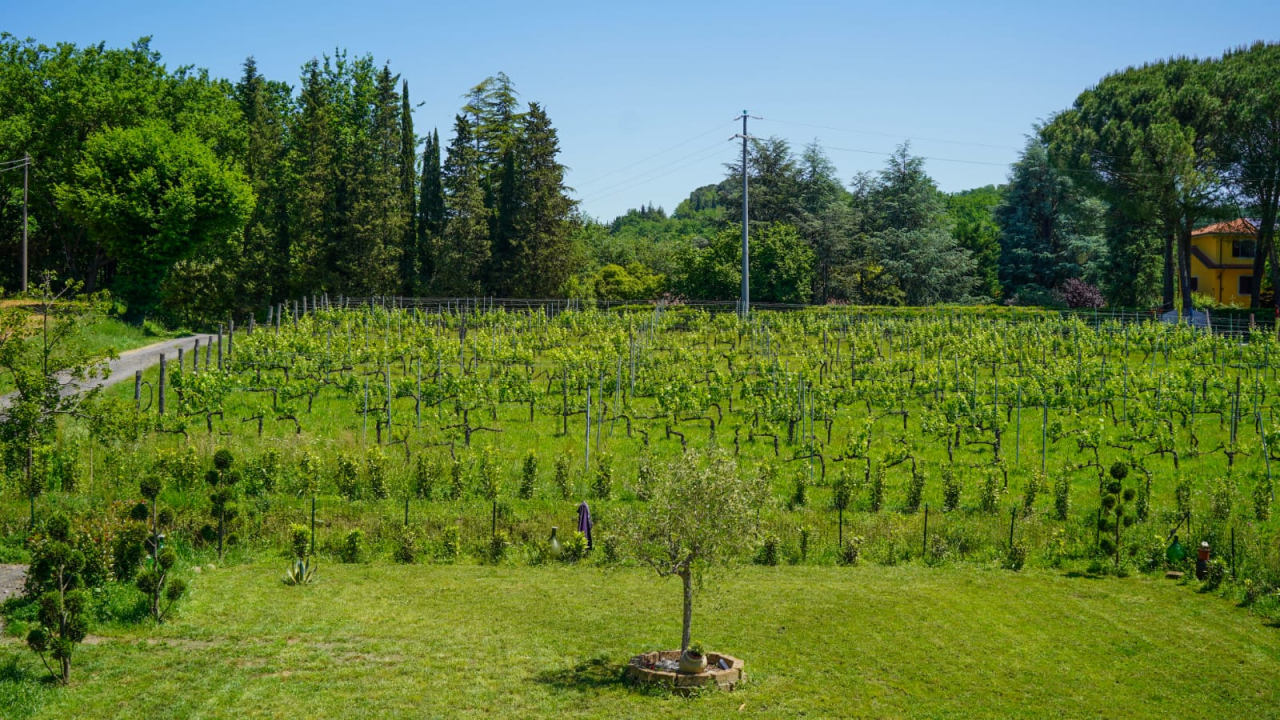 Appartamento con Vista Giardino