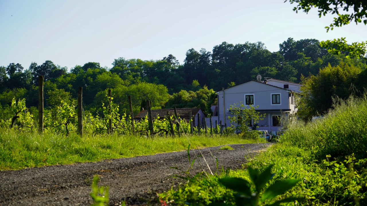 Appartamento con Vista Giardino