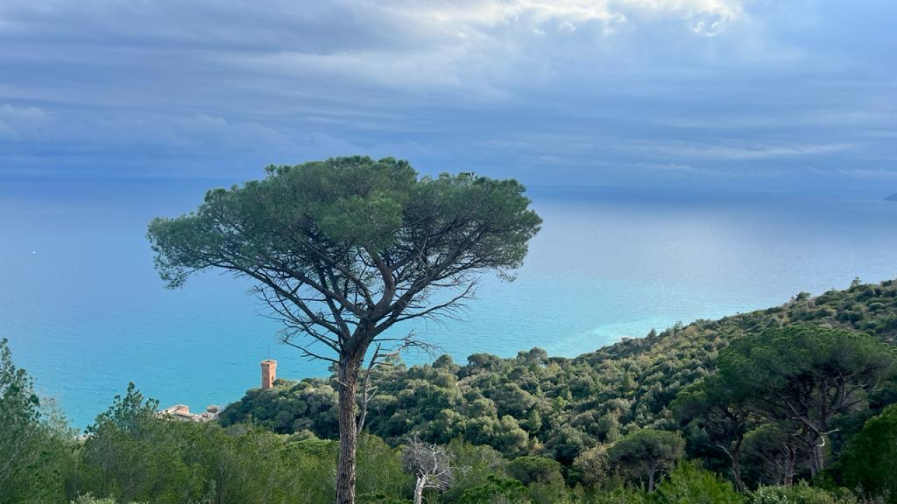 Appartamento con Vista Giardino